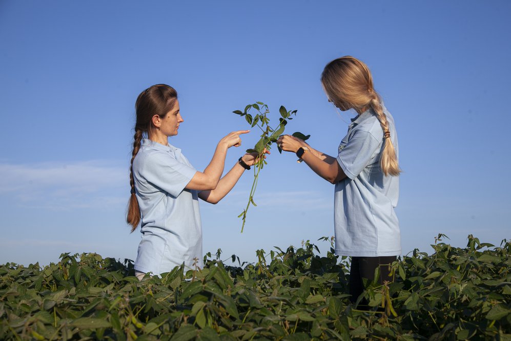 Women in soy field