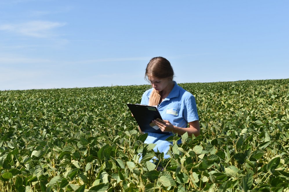 Employee checks fields