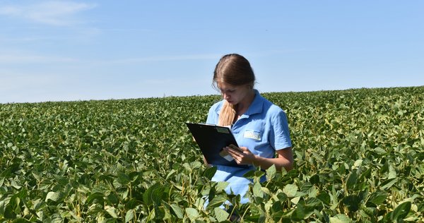 Employee checks fields